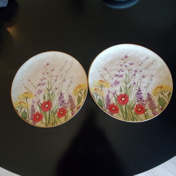 Set Of 2 Pier 1 Imports Botanical Garden Plates With Floral Design 10" Earthenwa - Picture 1 of 7